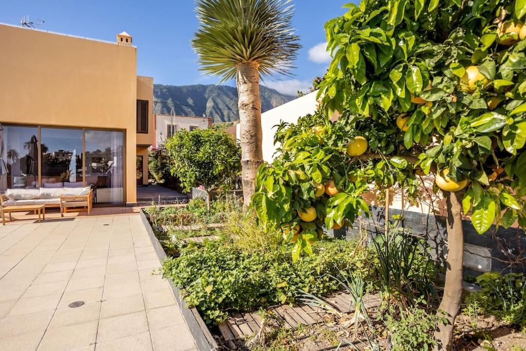 Villa De La Huerta Con Piscina Privada Y Barbacoa Guimar